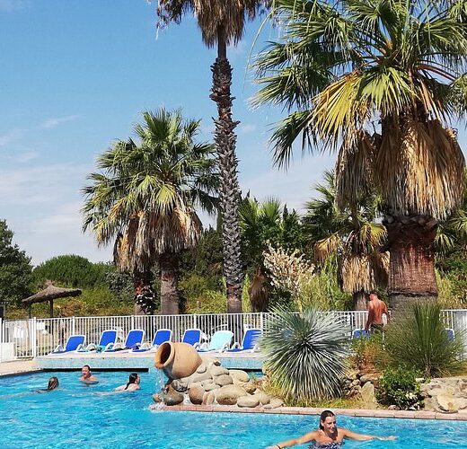 Vacanciers profitant de la piscine, palmiers, ambiance camping Arlequin Vacances.