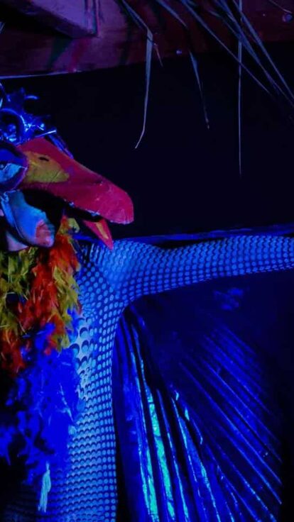 Animateurs en costumes sur scène lors d’un spectacle Arlequin Vacances à Argelès-sur-Mer.